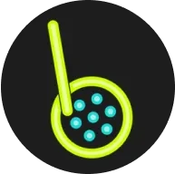 kdpay钱包app最新版本下载